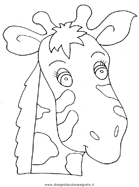 animali/giraffe/giraffa_40.JPG