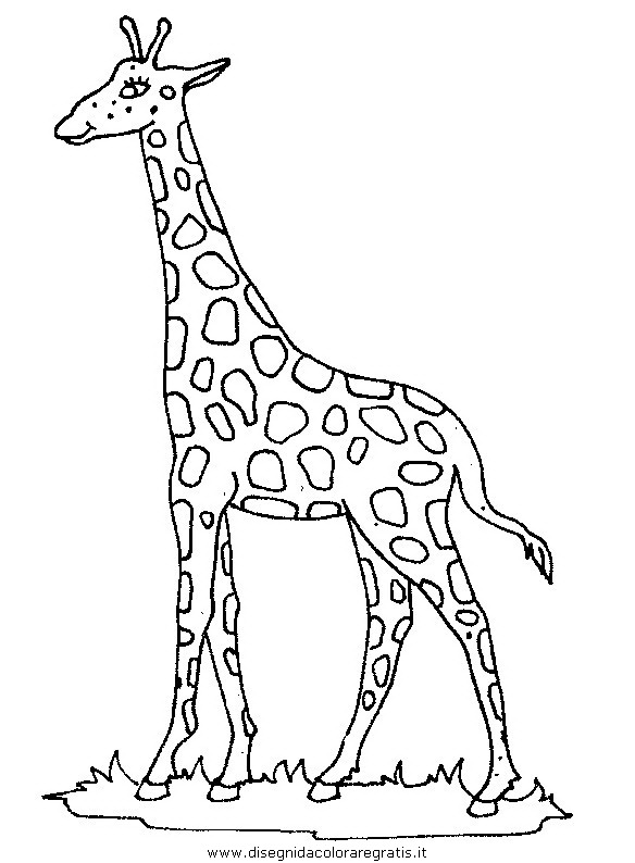 Disegno Giraffa 46 Animali Da Colorare