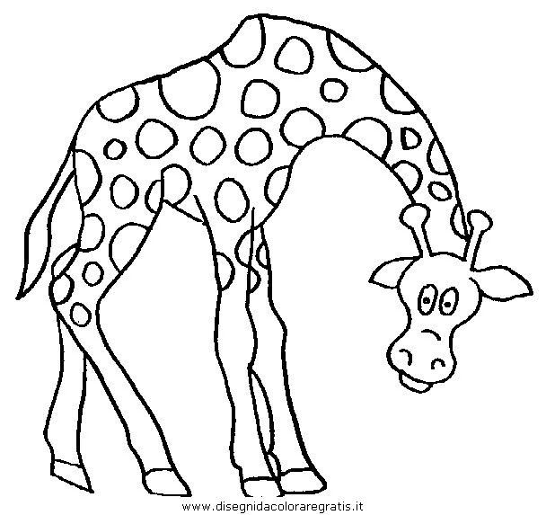 Disegno Giraffa 47 Animali Da Colorare