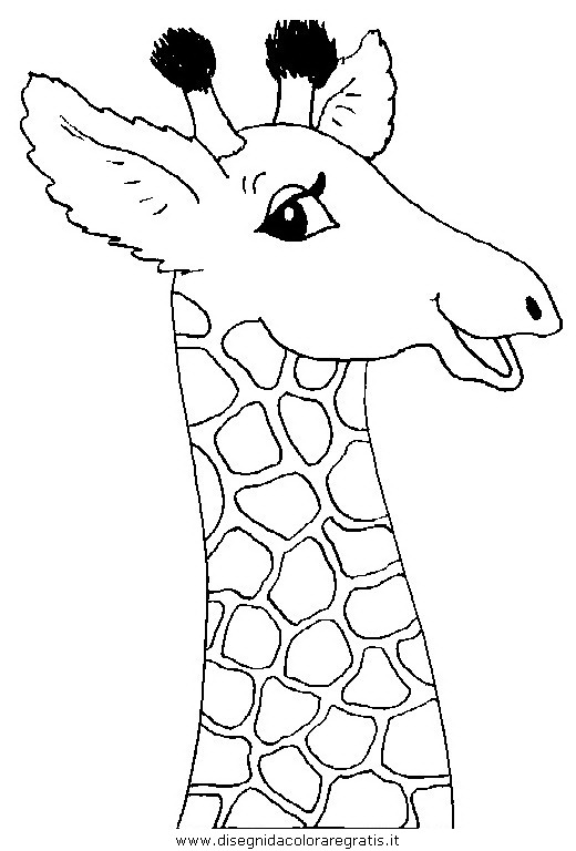 animali/giraffe/giraffa_48.JPG