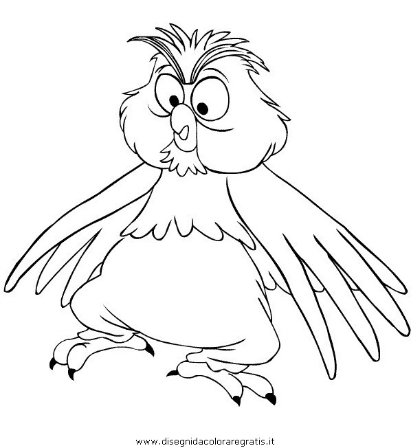 animali/gufi/gufo_5.JPG