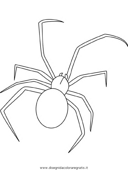 animali/insetti/black-widow-spider.JPG