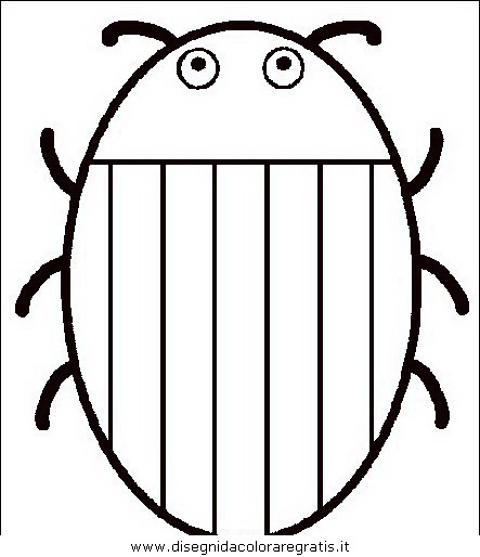 animali/insetti/insetto_30.JPG