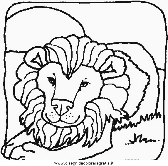 animali/leoni/leone_33.JPG