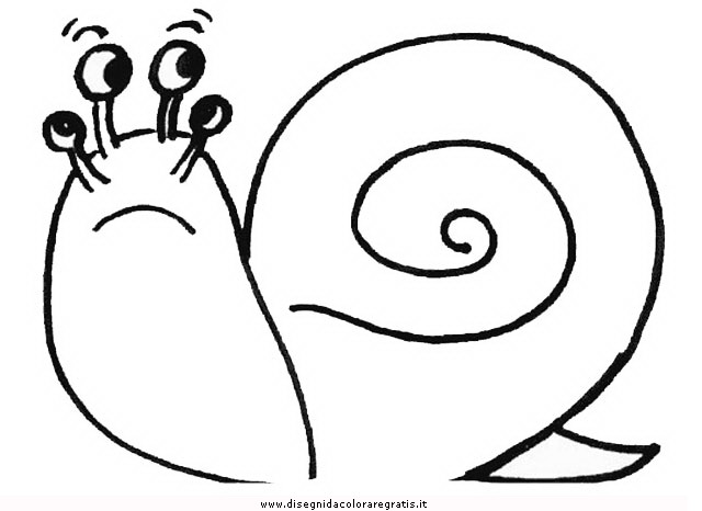 animali/lumache/lumaca_30.JPG