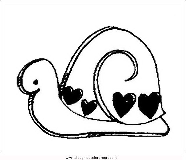 animali/lumache/lumaca_34.JPG