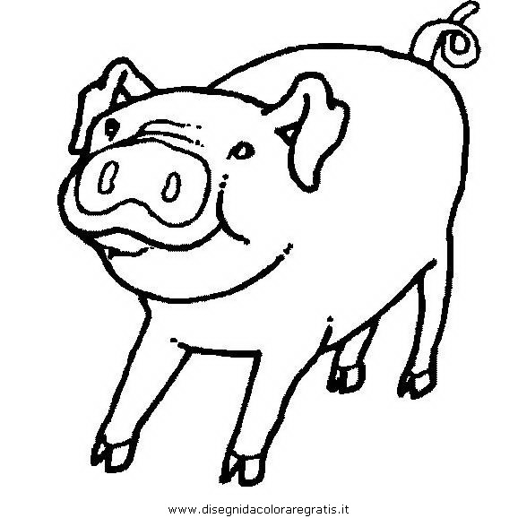 animali/maiali/maiale_56.JPG