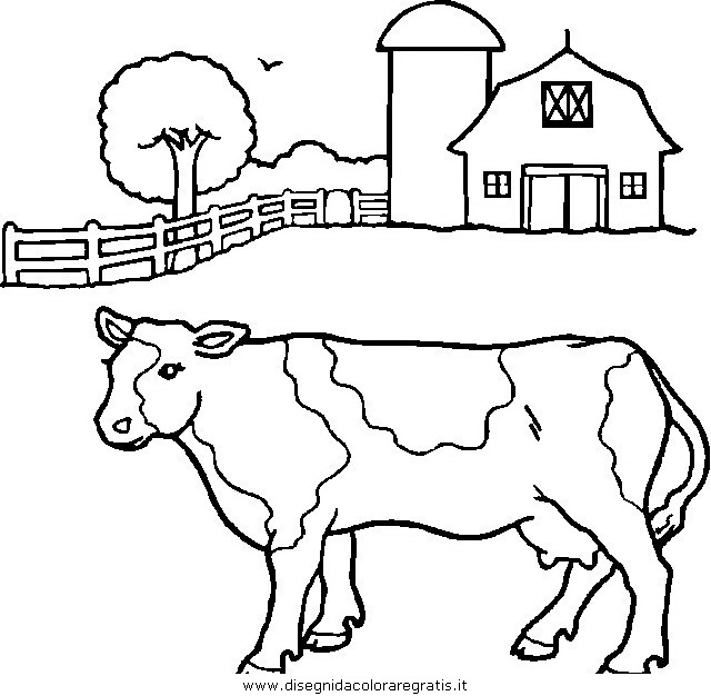animali/mucche/mucca_toro_16.JPG