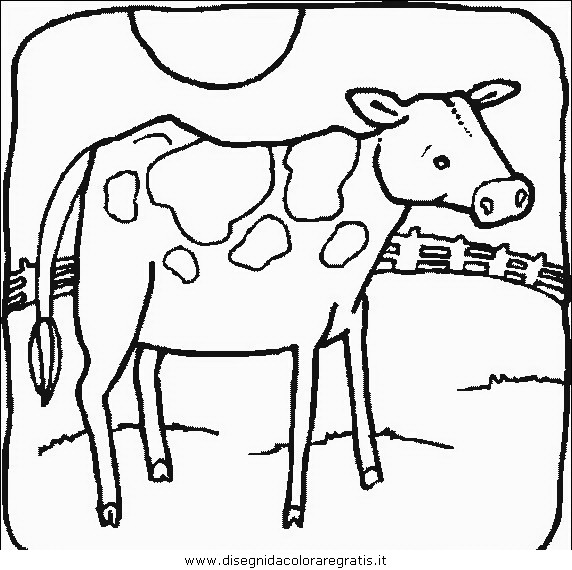 animali/mucche/mucca_toro_24.JPG