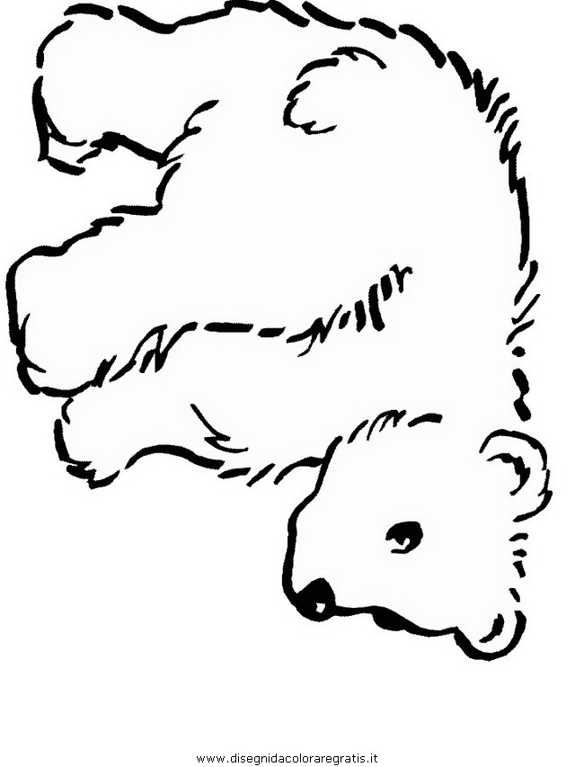 animali/orsi/orso_095.JPG