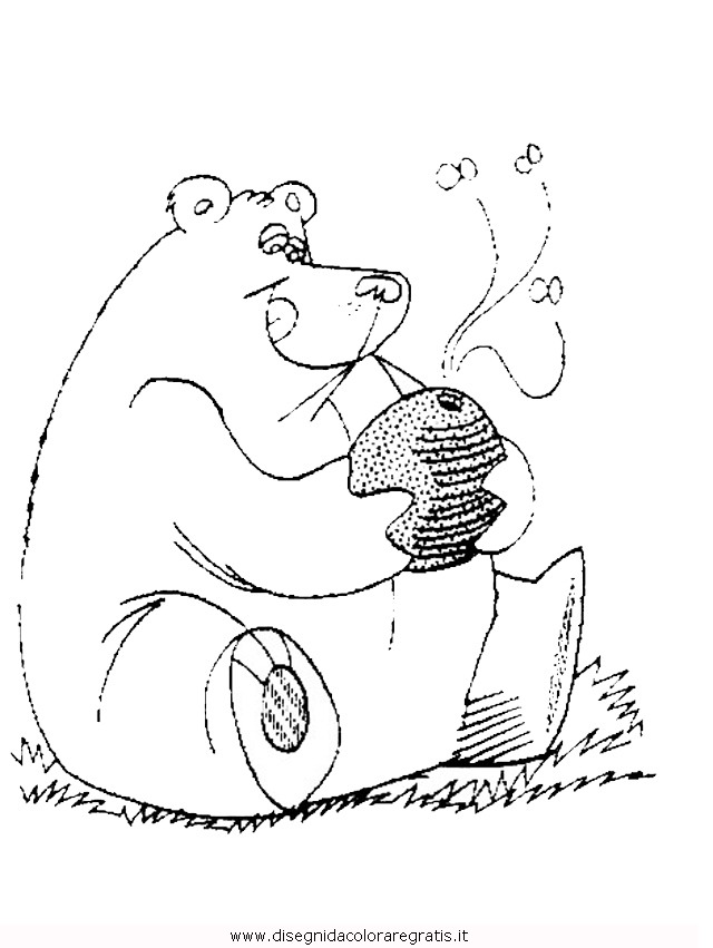 animali/orsi/orso_orsi_bear4.JPG