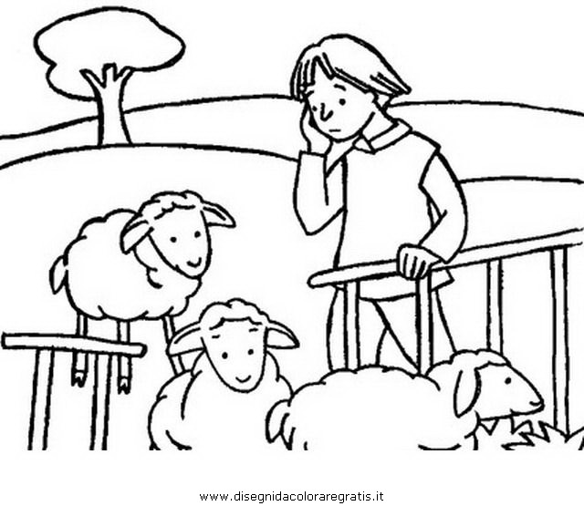 animali/pecore/ovile_1.JPG