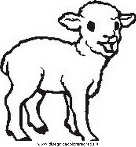 animali/pecore/pecora_1.JPG