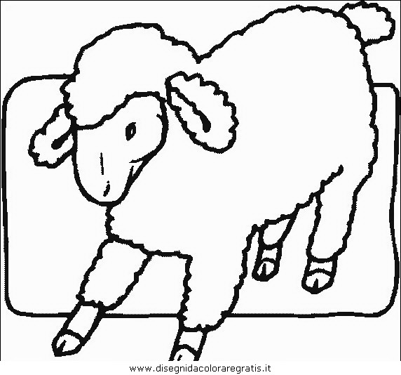 animali/pecore/pecora_5.JPG
