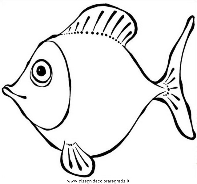 animali/pesci2/pesce_pesci_091.JPG