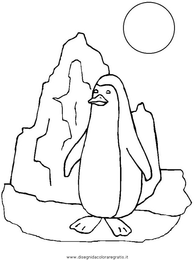 animali/pinguini/pinguino06.JPG