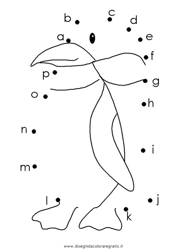 animali/pinguini/pinguino15.JPG