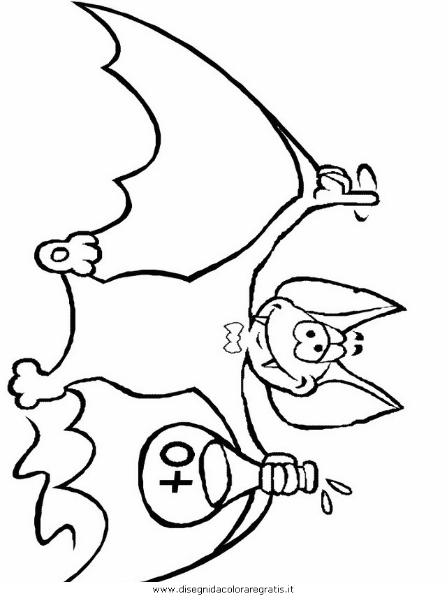 animali/pipistrelli/pipistrello_10.JPG