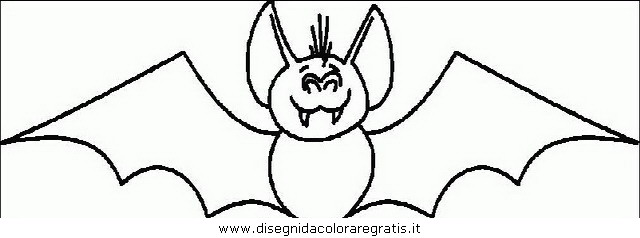 animali/pipistrelli/pipistrello_14.JPG