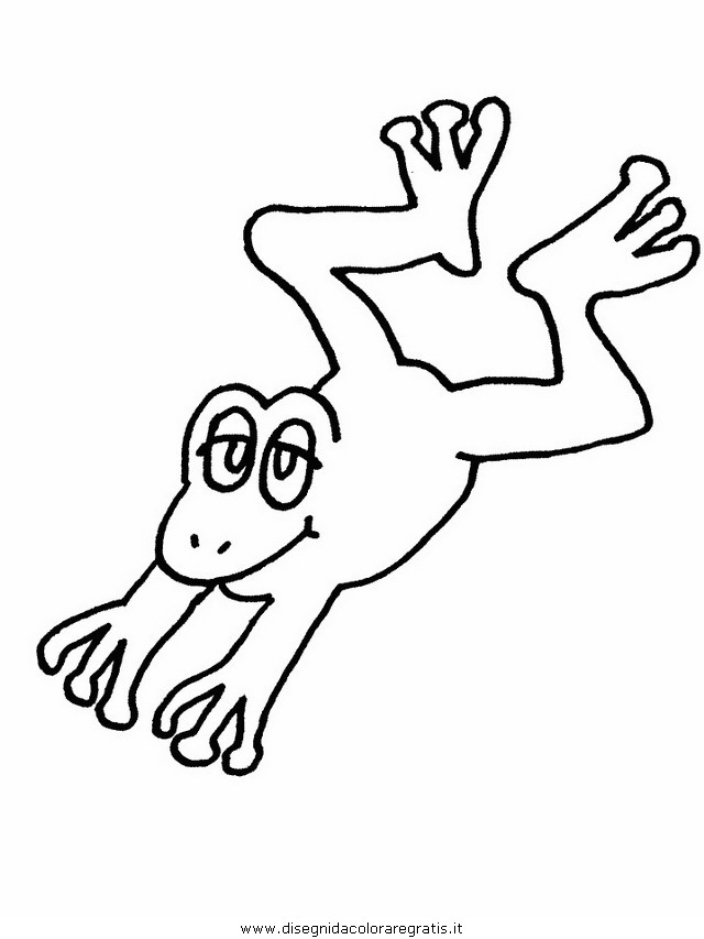 animali/rane/rana_12.JPG