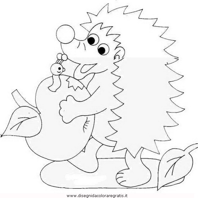 animali/ricci/riccio_49.JPG