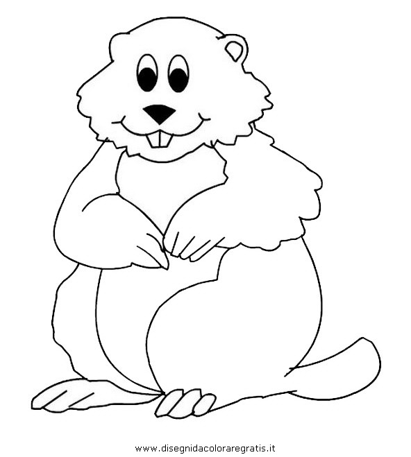 Disegno Marmotta 1 Animali Da Colorare
