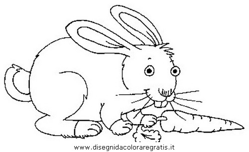 animali/roditori/roditori_19.JPG