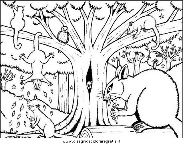 animali/roditori/roditori_87.JPG