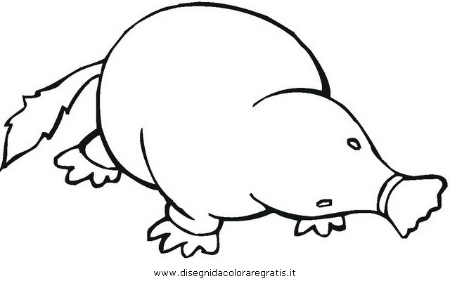 animali/roditori/talpa_03.JPG