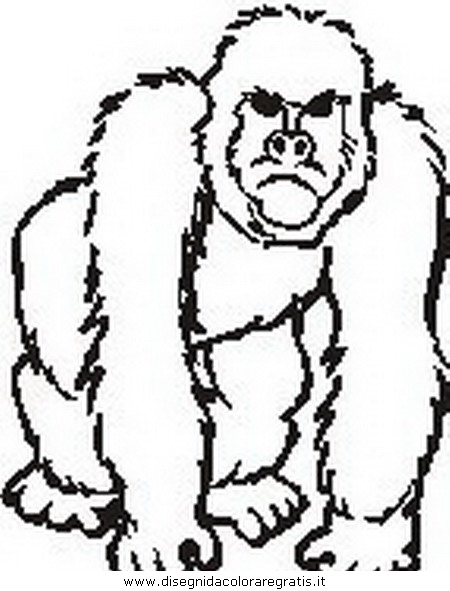 animali/scimmie/scimmia_12.JPG