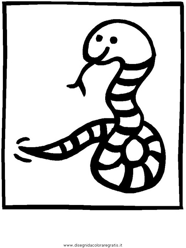 animali/serpenti/serpente_15.JPG