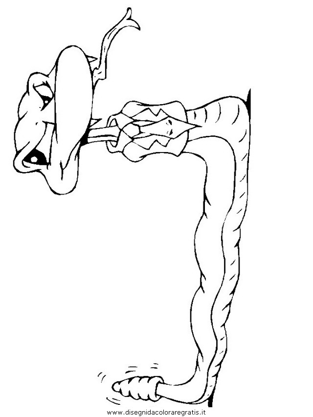animali/serpenti/serpente_16.JPG