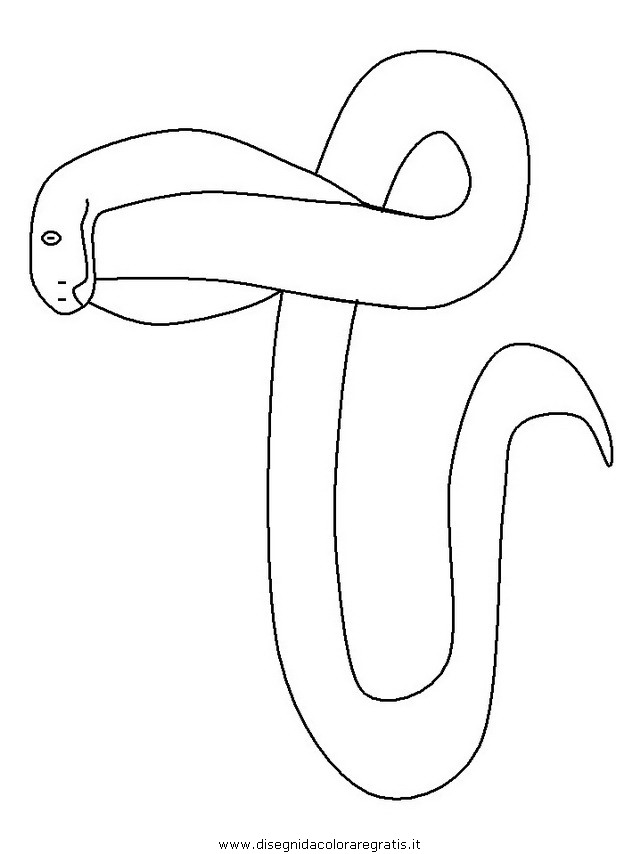 animali/serpenti/serpente_18.JPG