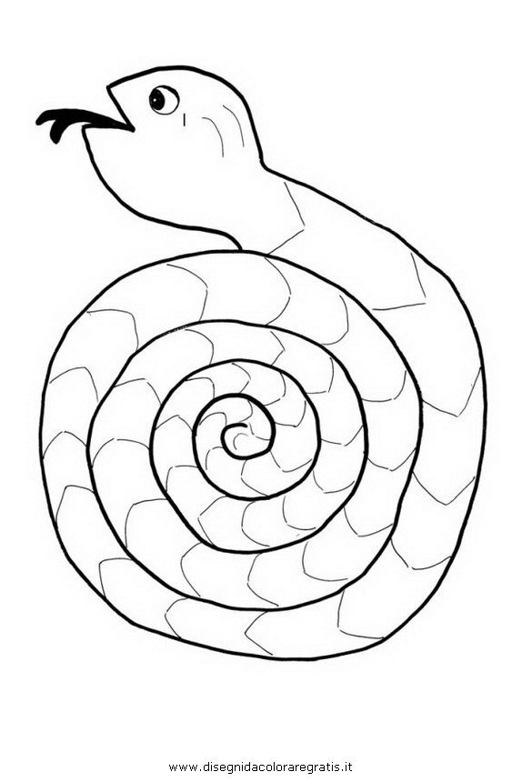 animali/serpenti/serpente_55.JPG