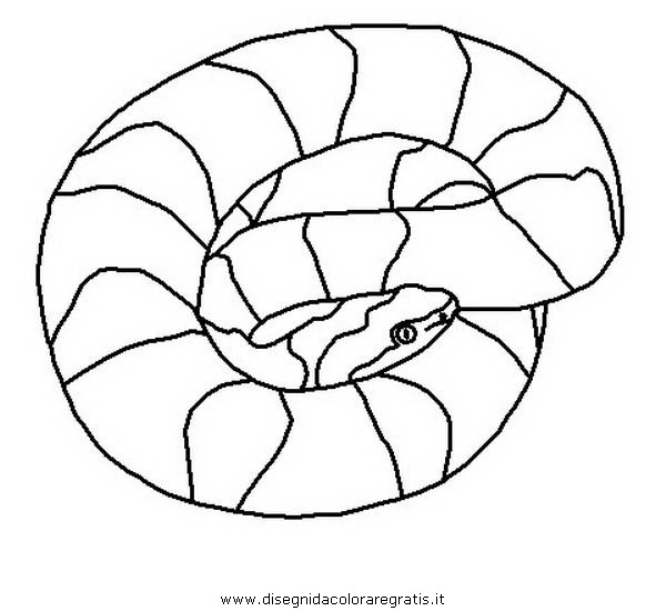 animali/serpenti/serpente_56.JPG
