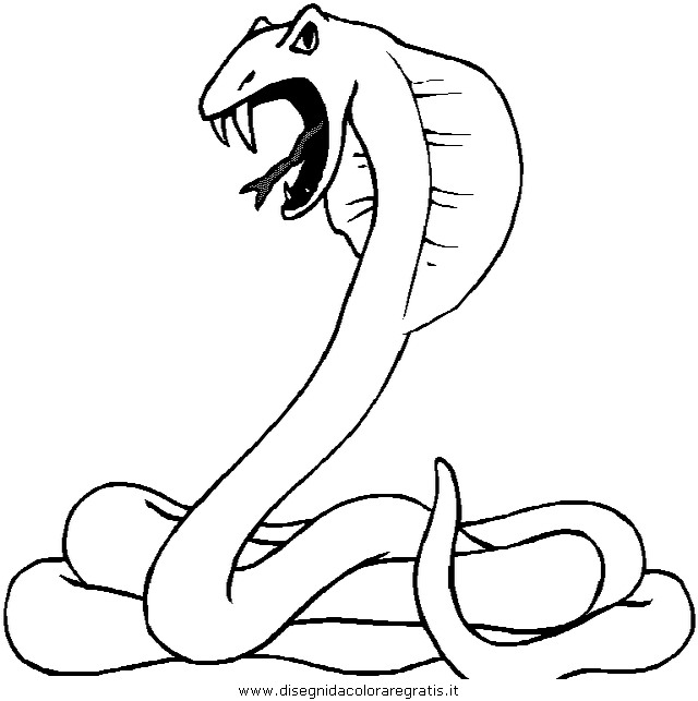 animali/serpenti/serpente_a3.JPG