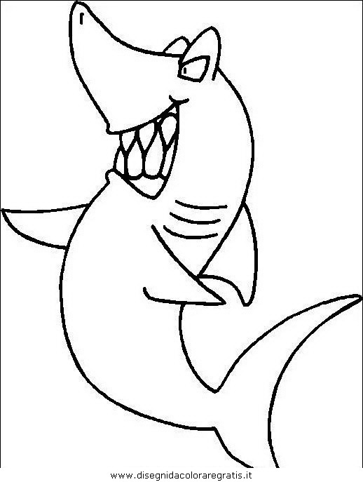 animali/squali/squalo_squali_13.JPG
