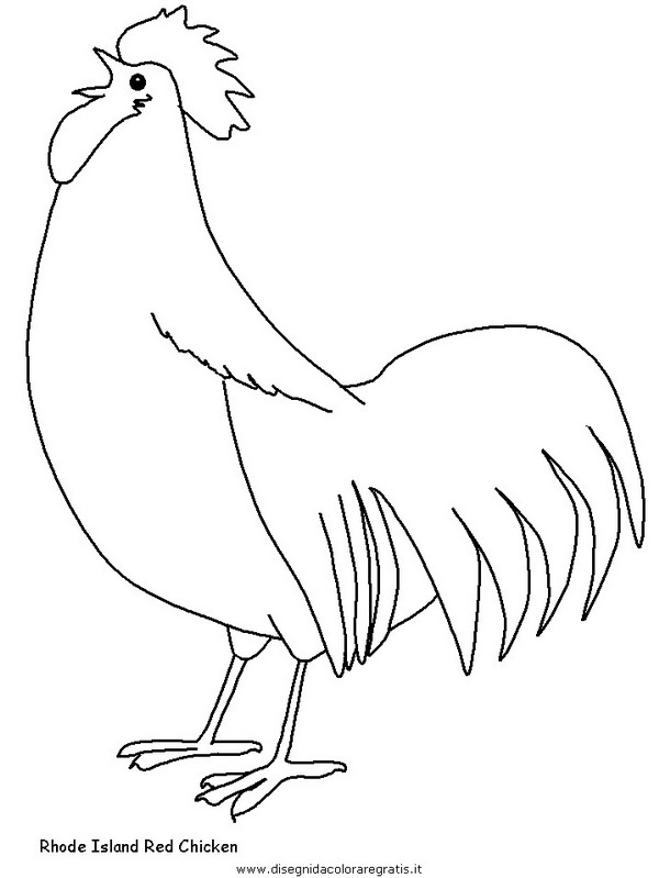 animali/tacchini/tacchino_gallina_03.JPG