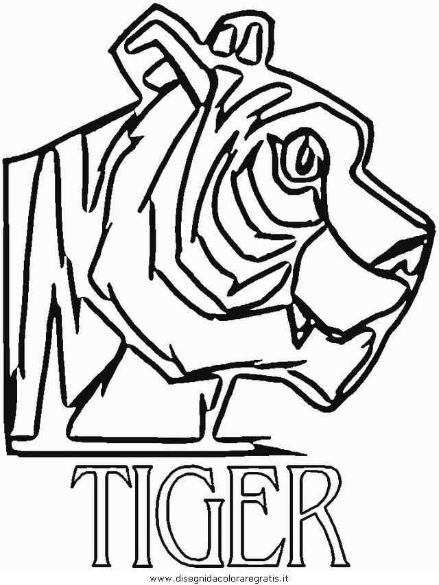 animali/tigri/tigre_23.JPG