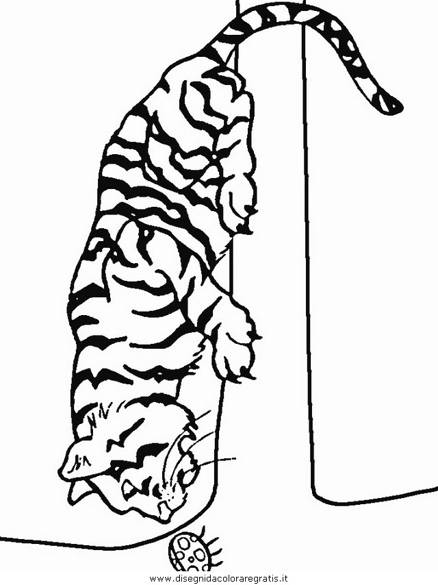 animali/tigri/tigre_26.JPG