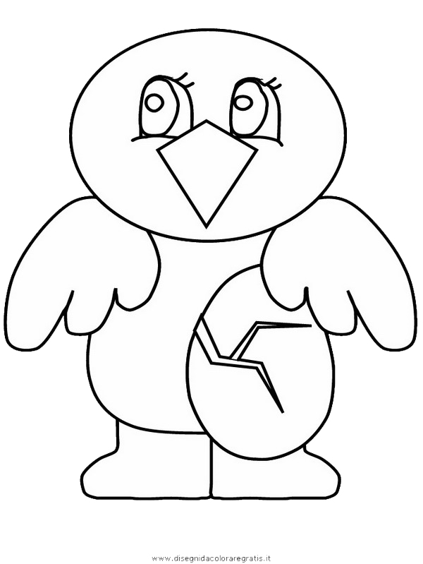 animali/uccelli/chick3.JPG