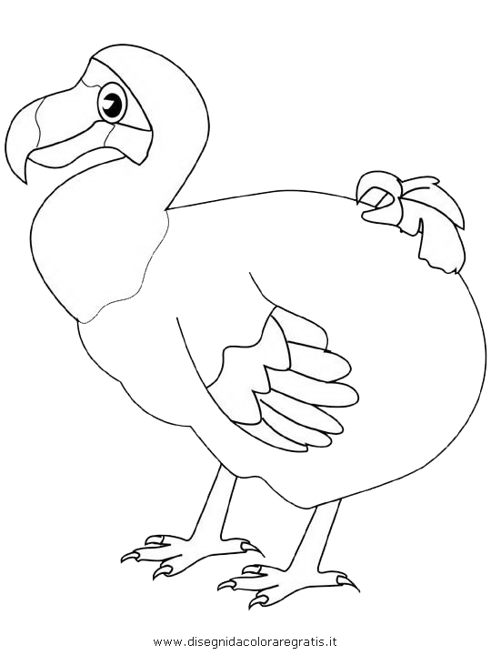 animali/uccelli/dodo_7.JPG