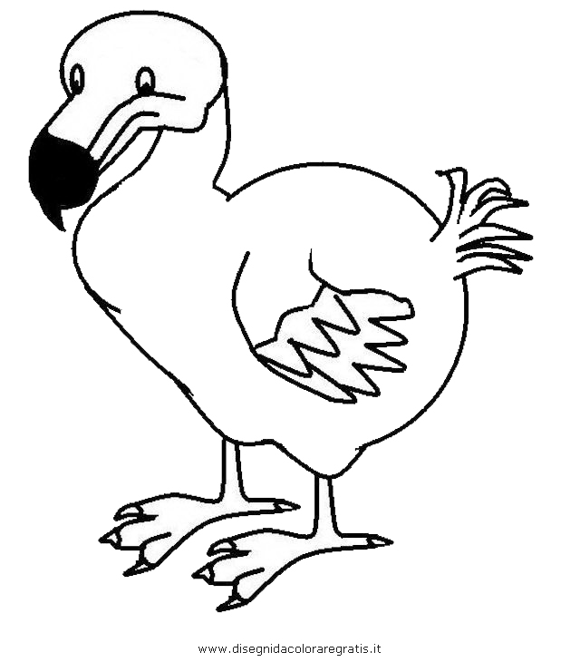 animali/uccelli/dodo_8.JPG