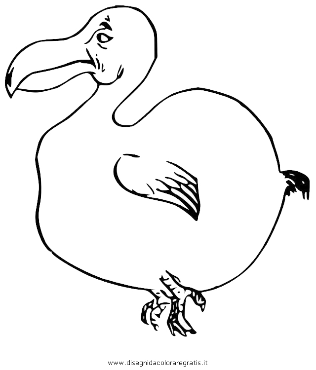 animali/uccelli/dodo_9.JPG