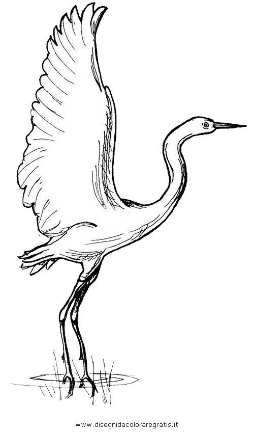 animali/uccelli/garzetta_2.JPG