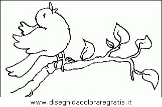 animali/uccelli/uccelli_093.JPG