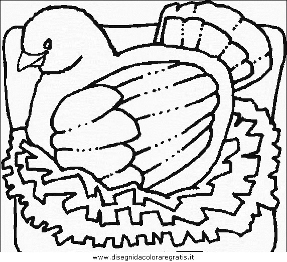 animali/uccelli/uccelli_126.JPG