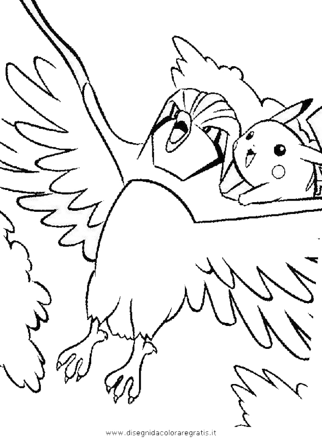 animali/uccelli/uccelli_251.JPG