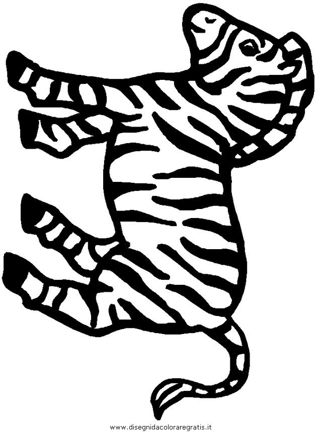animali/zebre/zebra004.JPG