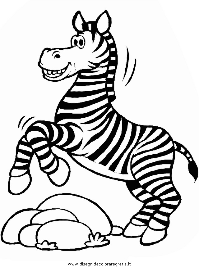 animali/zebre/zebra007.JPG